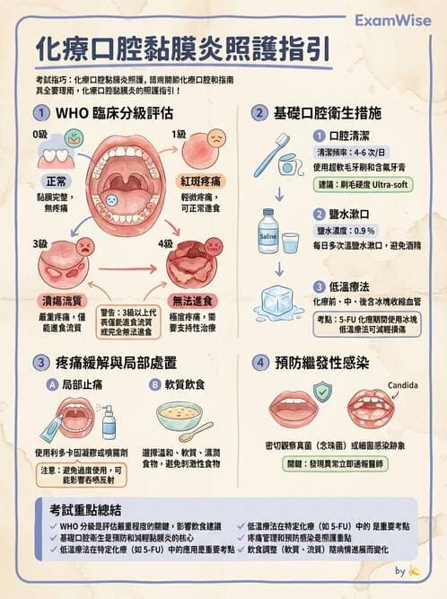 護理師 - 化療護理 - AI 圖文解析預覽