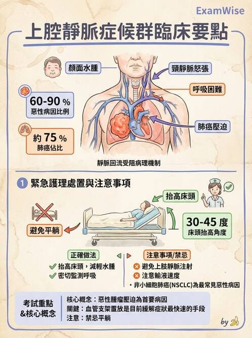 護理師 - 放療、疼痛管理與安寧護理 - AI 圖文解析預覽