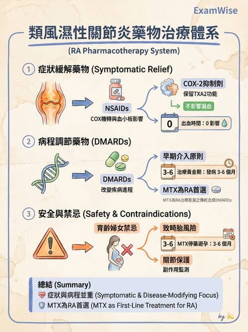 護理師 - 自體免疫疾病與過敏反應 - AI 圖文解析預覽