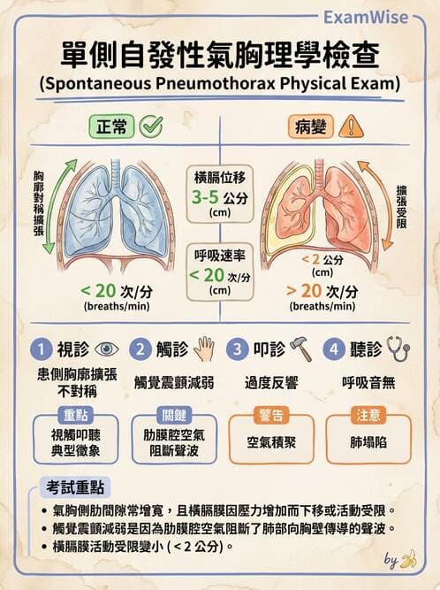 護理師 - 呼吸衰竭與胸腔護理 - AI 圖文解析預覽