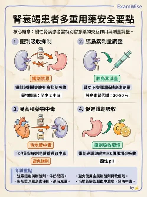 護理師 - 腎炎、腎衰竭與慢性腎臟病 - AI 圖文解析預覽