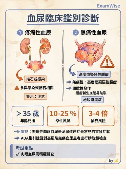 護理師 - 泌尿道疾病與排尿障礙 - AI 圖文解析預覽