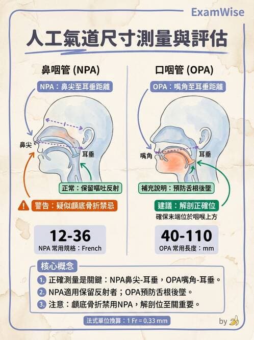 護理師 - CPR、AED與急救技術 - AI 圖文解析預覽