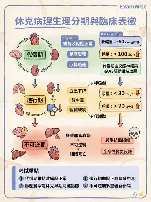 護理師 - 休克與敗血症護理 - AI 圖文解析預覽