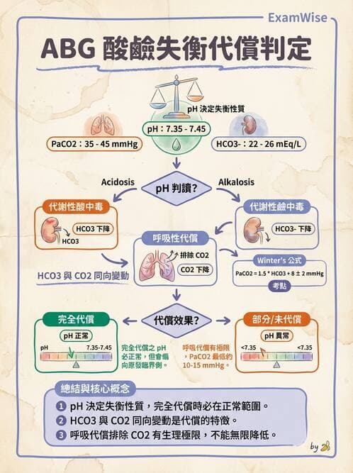 護理師 - 透析、電解質與酸鹼平衡 - AI 圖文解析預覽