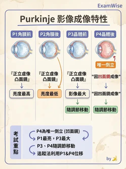 驗光師 - 折射定律、反射與光學現象 - AI 圖文解析預覽