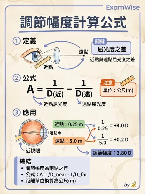 驗光師 - 調節機制與調節量計算 - AI 圖文解析預覽