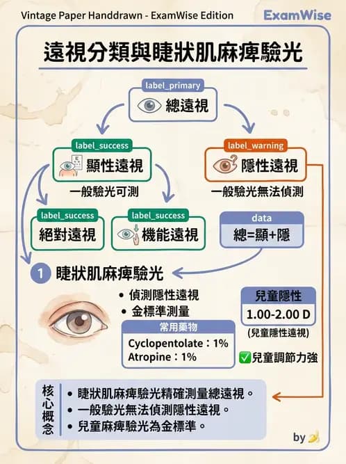 驗光師 - 屈光不正與近視遠視 - AI 圖文解析預覽