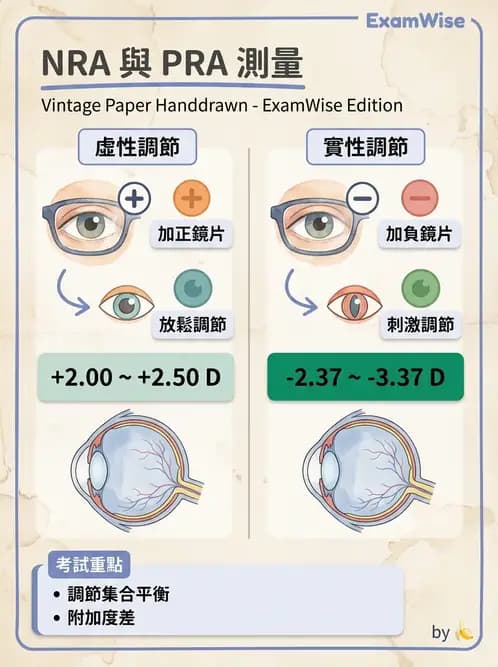 驗光師 - 老花眼主觀驗光與相對調節力 - AI 圖文解析預覽