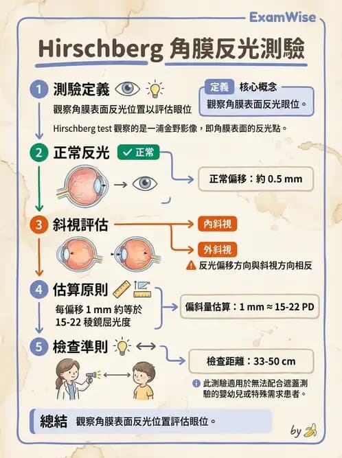 驗光師 - 眼外肌運動與眼位初步檢查 - AI 圖文解析預覽