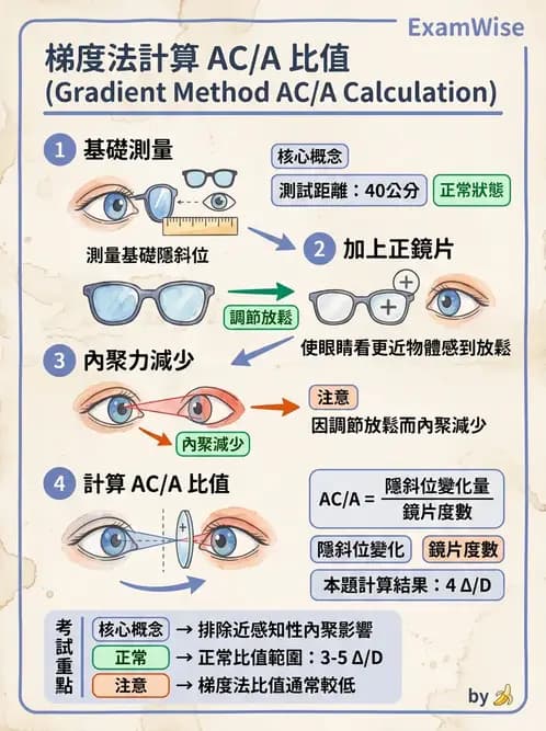 驗光師 - 調節性內聚力與聚散功能檢測 - AI 圖文解析預覽