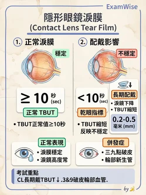 驗光師 - 裂隙燈與角膜弧度檢查 - AI 圖文解析預覽