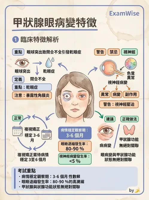驗光師 - 血管阻塞、甲狀腺眼疾與其他全身性眼病變 - AI 圖文解析預覽