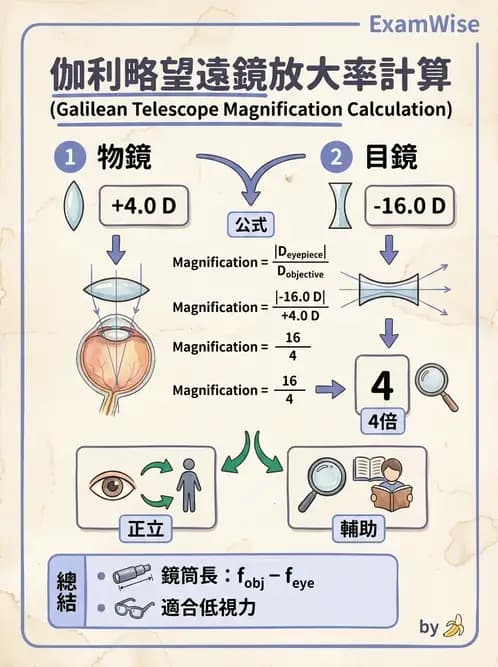 驗光師 - 鏡片放大率、材質與特殊鏡片 - AI 圖文解析預覽