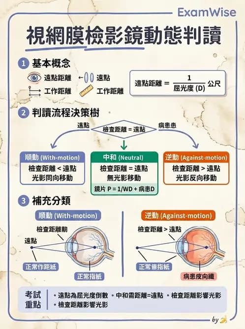 驗光師 - 視網膜檢影法 - AI 圖文解析預覽