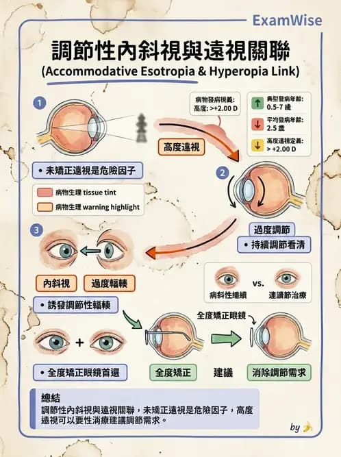 驗光師 - 斜視 - AI 圖文解析預覽