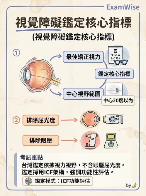 驗光師 - 視障的分類及流行分布 - AI 圖文解析預覽