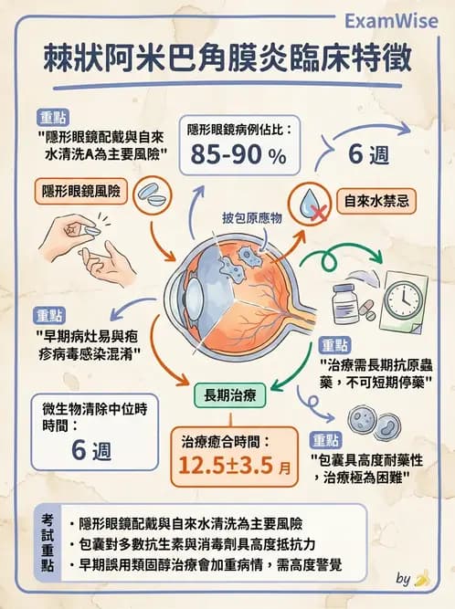 驗光師 - 感染性角結膜炎 - AI 圖文解析預覽