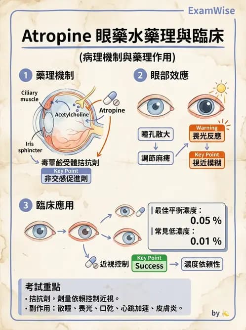驗光師 - 近視併發症 - AI 圖文解析預覽