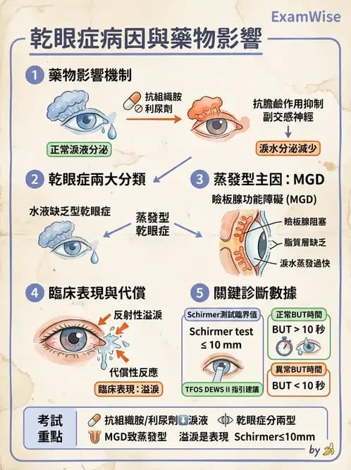 驗光師 - 角膜退化疾病與眼表問題 - AI 圖文解析預覽