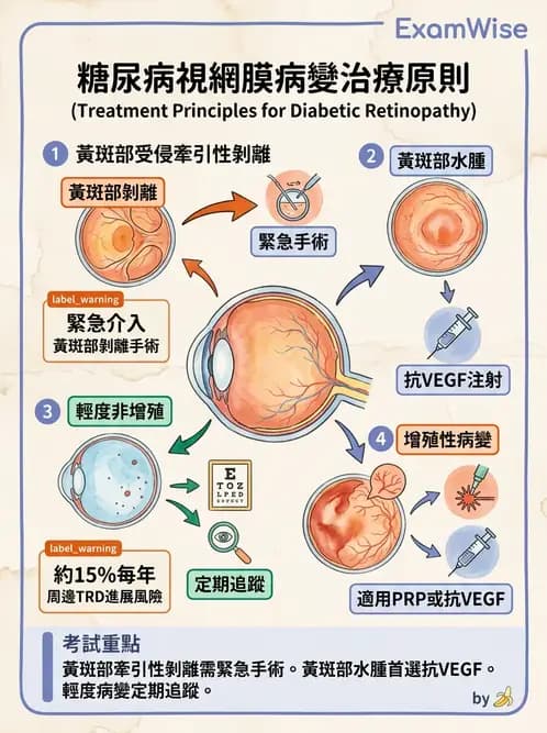 驗光師 - 糖尿病眼部病變 - AI 圖文解析預覽