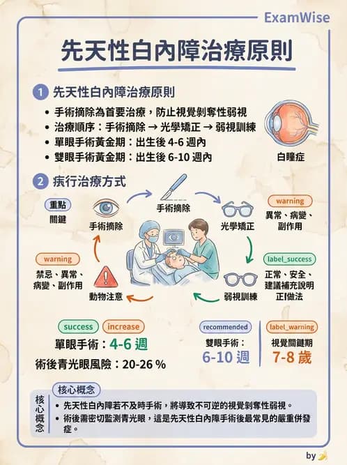 驗光師 - 水晶體疾病 - AI 圖文解析預覽