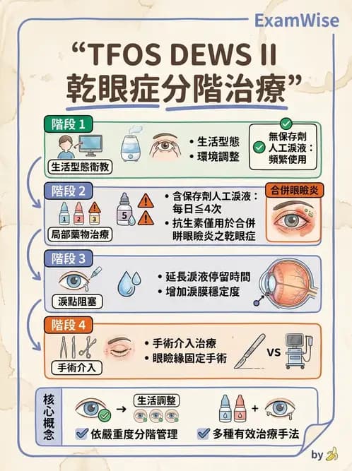 驗光師 - 角膜退化疾病與眼表問題 - AI 圖文解析預覽