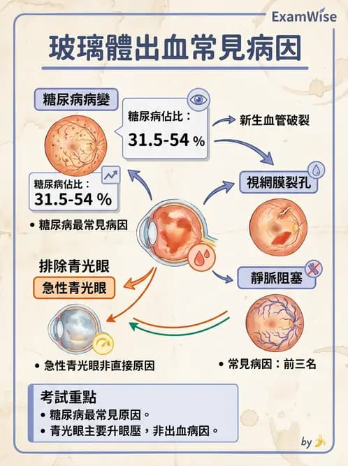 驗光師 - 視網膜疾病 - AI 圖文解析預覽