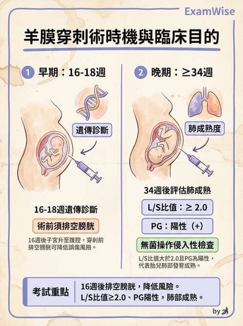 護理師 - 產前篩檢與遺傳診斷 - AI 圖文解析預覽