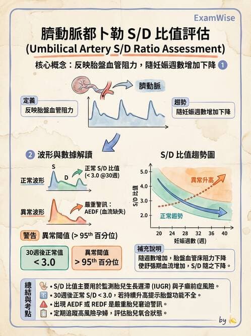 護理師 - 產前篩檢與遺傳診斷 - AI 圖文解析預覽