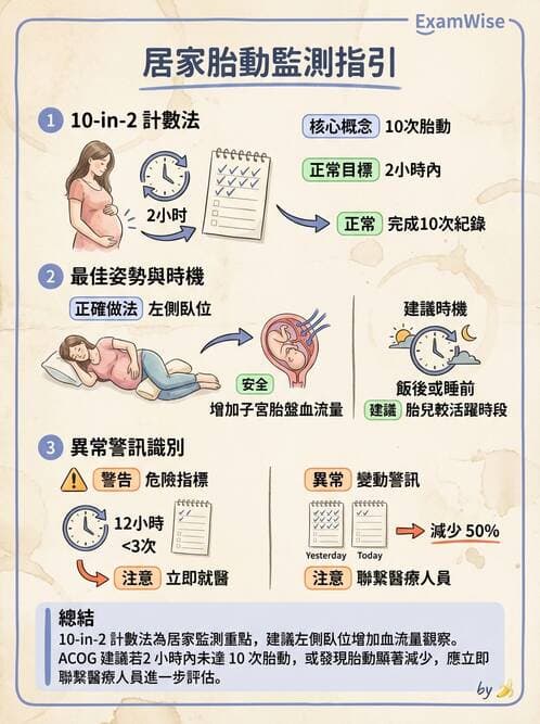 護理師 - 胎兒發育與監測評估 - AI 圖文解析預覽