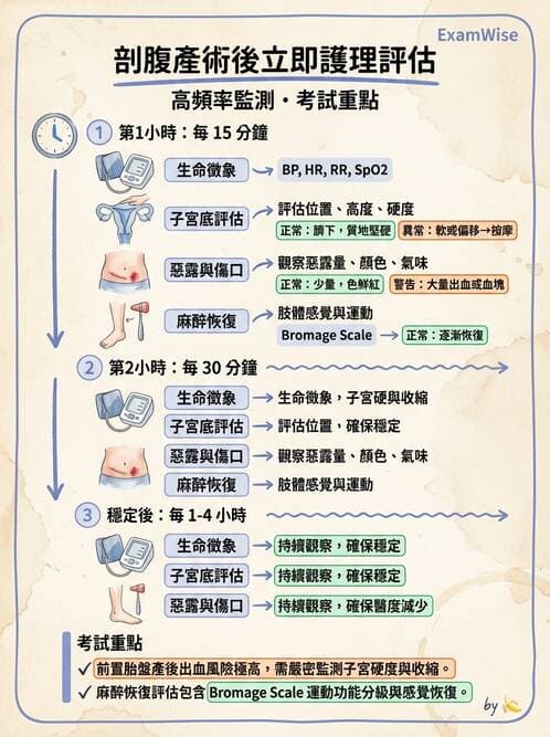 護理師 - 產後生理恢復與護理 - AI 圖文解析預覽