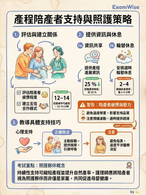 護理師 - 產程機轉與待產護理 - AI 圖文解析預覽