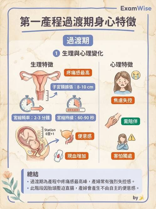 護理師 - 產程機轉與待產護理 - AI 圖文解析預覽