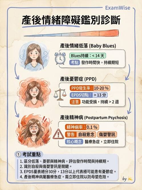 護理師 - 產後心理併發症與家庭計畫 - AI 圖文解析預覽