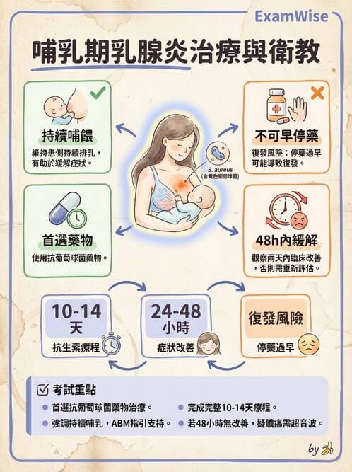 護理師 - 母乳哺餵 - AI 圖文解析預覽