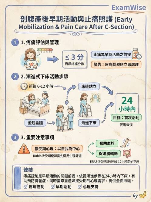 護理師 - 產後生理恢復與護理 - AI 圖文解析預覽