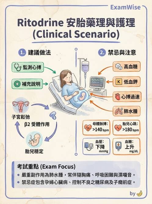 護理師 - 孕期營養心理與衛生政策 - AI 圖文解析預覽
