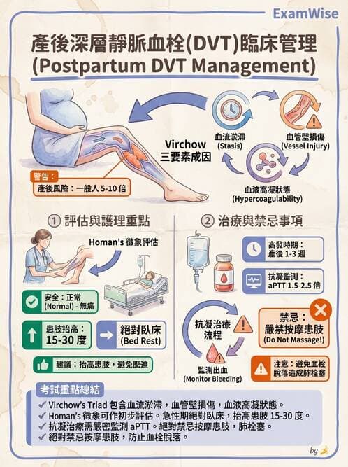 護理師 - 產後生理恢復與護理 - AI 圖文解析預覽