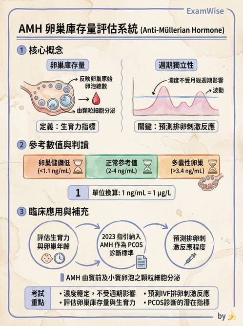 護理師 - 不孕症月經與更年期 - AI 圖文解析預覽