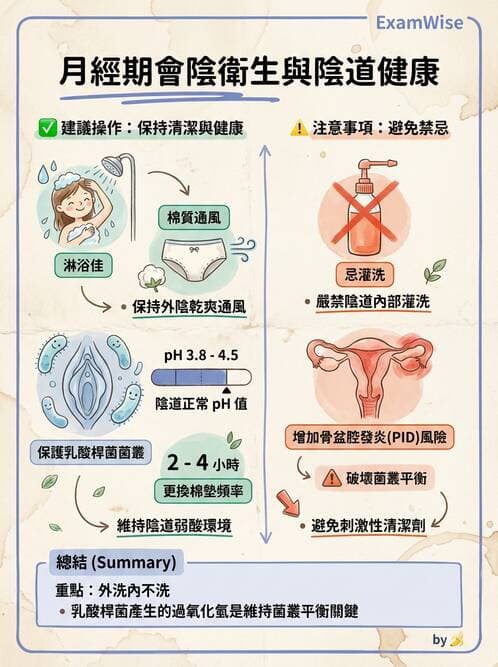 護理師 - 不孕症月經與更年期 - AI 圖文解析預覽