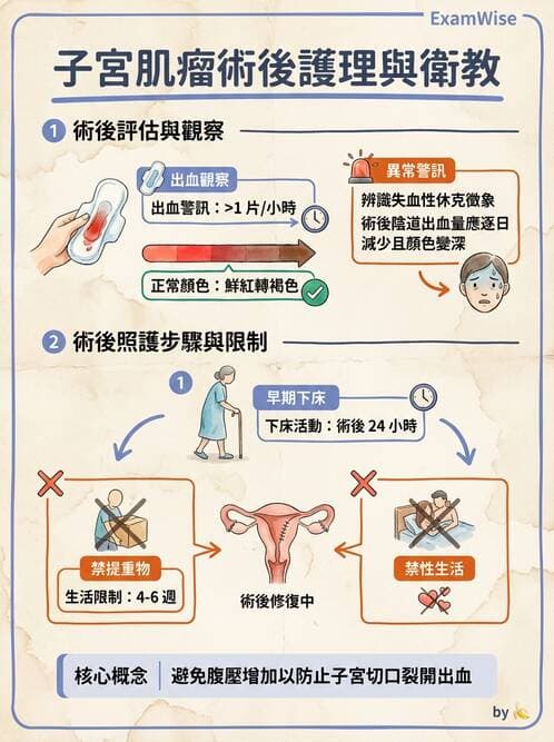 護理師 - 不孕症月經與更年期 - AI 圖文解析預覽