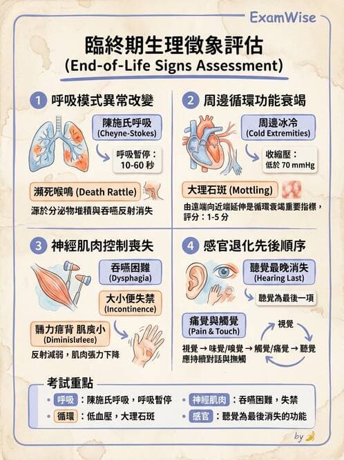 護理師 - 兒童心理社會發展與遊戲 - AI 圖文解析預覽