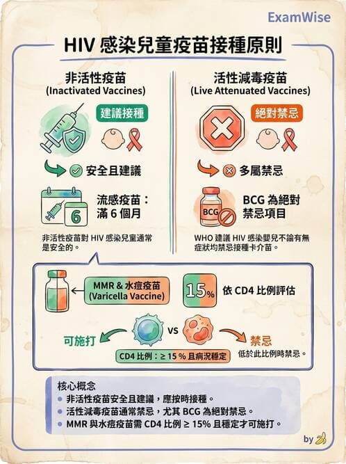 護理師 - 新生兒日常照護與篩檢 - AI 圖文解析預覽