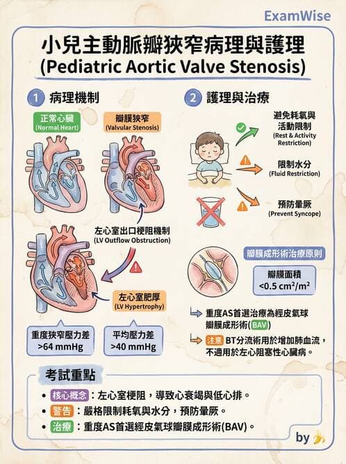 護理師 - 兒童循環系統疾病 - AI 圖文解析預覽