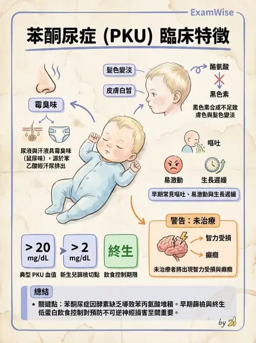 護理師 - 兒童內分泌與代謝疾病 - AI 圖文解析預覽