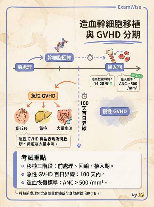護理師 - 兒童血液與腫瘤疾病 - AI 圖文解析預覽