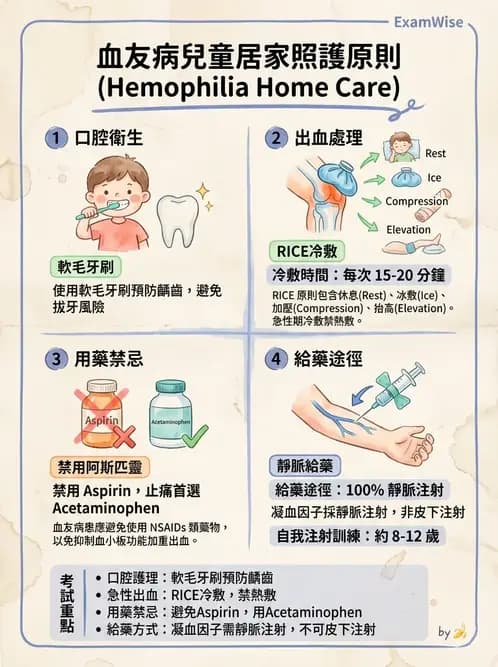 護理師 - 兒童血液與腫瘤疾病 - AI 圖文解析預覽