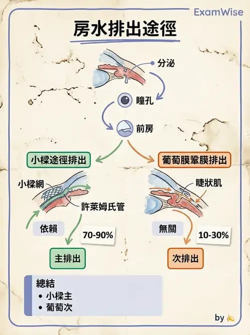 驗光生 - 屈光介質與眼壓調節 - AI 圖文解析預覽