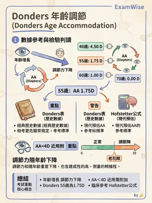 驗光生 - 老花眼基礎概念與調節幅度 - AI 圖文解析預覽